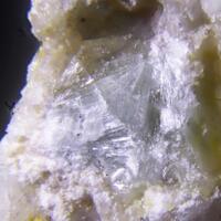 Plumbophyllite