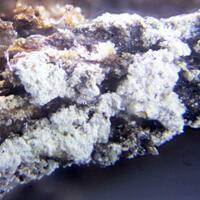 Hexahydrite & Halite