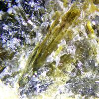 Richterite