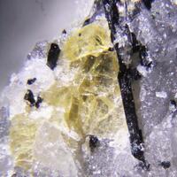 Vuonnemite