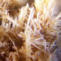 Scholzite