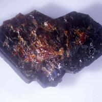 Tantalite-(Mn)