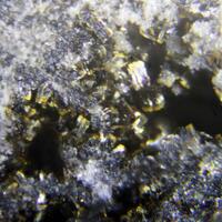 Gayite & Morinite