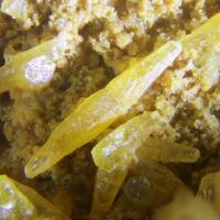 Hidalgoite & Mimetite