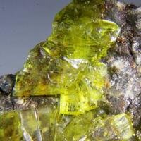 Grimselite