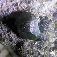 Goldmanite