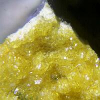 Hidalgoite