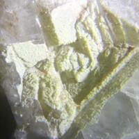 Carlosbarbosaite