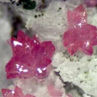 Variscite Mitridatite & Leucophosphite