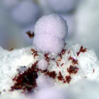 Strengite & Bermanite