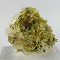 Greifensteinite & Muscovite