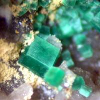 Torbernite