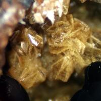 Jahnsite & Strengite