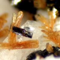 Jahnsite-(CaMnFe) Frondelite & Strengite