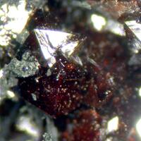 Correianevesite Hureaulite & Vivianite