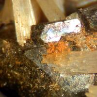 Childrenite & Fluorapatite