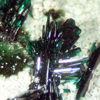 Atacamite Libethenite & Pseudomalachite