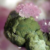 Mitridatite & Strengite