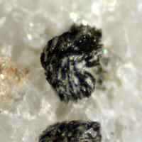 Cervandonite-(Ce) Rutile & Hematite