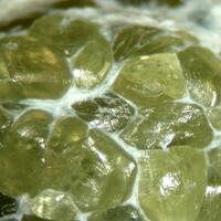 Demantoid & Asbestos