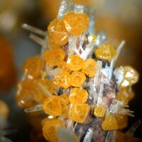 Wulfenite & Baryte