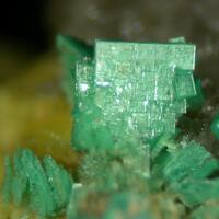 Torbernite & Uranocircite