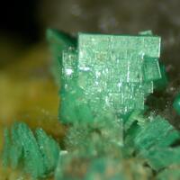 Torbernite & Uranocircite