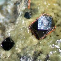 Magnetite & Titanite