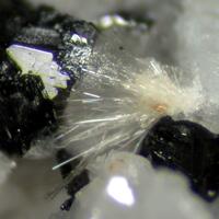 Fogoite-(Y) & Astrophyllite