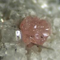 Monazite-(Ce) & Anatase