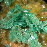 Autunite & Torbernite