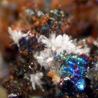 Apatite & Robertsite