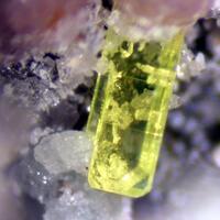 Saléeite Strengite Cacoxenite & Johnsomervilleite