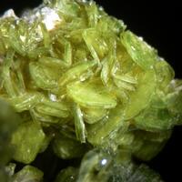 Autunite