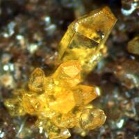 Legrandite & Arseniosiderite