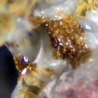 Macquartite Dioptase Fornacite & Wulfenite