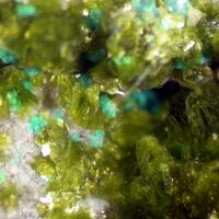 Volborthite