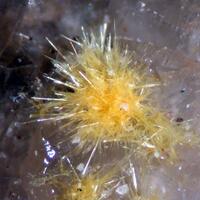 Boltwoodite & Calcite