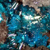 Chalcomenite & Atacamite