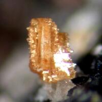 Jahnsite-(MnMnMg) & Variscite