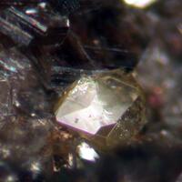 Xenotime-(Y) & Muscovite