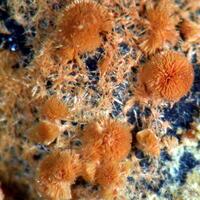 Cacoxenite