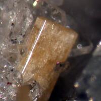 Guarinite Nepheline & Sanidine