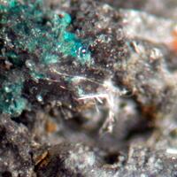 Orlandiite & Chalcomenite