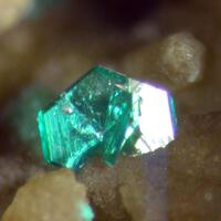 Chalcophyllite