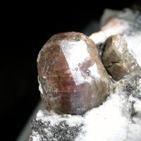 Zircon