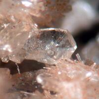 Parahopeite