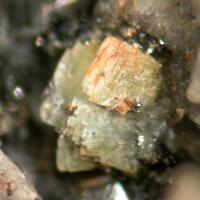 Kolbeckite