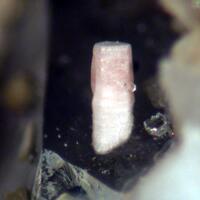 Synchysite-(Ce) & Muscovite