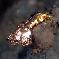 Sylvanite & Gold